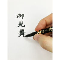 寺西化学工業 マジック 筆ペン 細字 MFPHP-T1 1セット(1本×10)