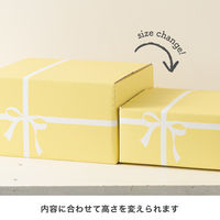 【60サイズ】ヘッズ クレール撥水宅配ギフトBOX-2 CLA-HCT2 W237×D216×H142mm 1梱包（10枚入）