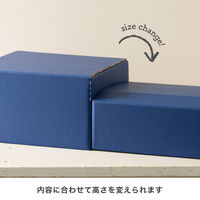 【60サイズ】ヘッズ 無地ツートーン撥水宅配BOX-2 MTN-HCT2 W237×D216×H142mm 1セット（50枚）