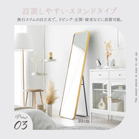 武田コーポレーション スタンドミラーワイドGD A3-SM150GD 1箱(1個入)（直送品）