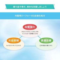 内服用ジーフォー 24錠 佐藤製薬 ジーフォー G4 痔 痔の薬 肛門疾患用剤 いぼ痔、きれ痔、痔の出血【第2類医薬品】