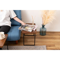 東谷 ROOM ESSENCE ミニテーブル S 幅500×奥行300×高さ330mm ブラウン GT-313BR 1台（直送品）