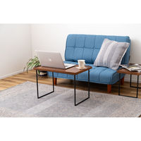 東谷 ROOM ESSENCE ミニテーブル L 幅600×奥行400×高さ400mm ブラウン GT-314BR 1台（直送品）