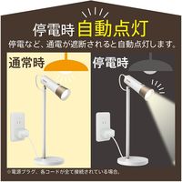 ゼピール 充電式LEDスタンドライト ホワイト DJS-H1020-WH 1台