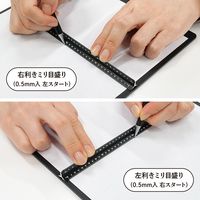 共栄プラスチック LRオールアルミ3面定規16cm ASR-16-BL 1セット(2本)（直送品）
