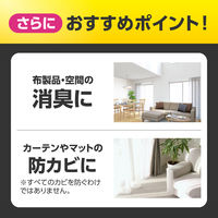 リセッシュ 除菌EX デオドラントパワー スプラッシュシトラスの香り 詰め替え 310ml 1個 消臭スプレー　花王