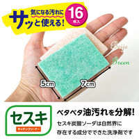 激落ちくん 水だけで落ちる 気になる汚れにサッと使える キッチンクリーナー セスキ 油汚れ用 16枚入 1セット（1個×10）レック