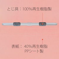 プラス PP製 フラットファイル 年組氏名 A4 タテ ピンク 79498 1箱(1袋(10冊入)×10)