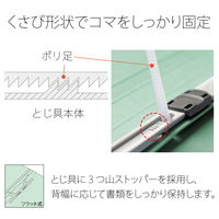 プラス 紙製ファイル フラットファイル 年組氏名 B5 タテ ブルー 79525 1袋(10冊入)