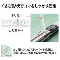 プラス 紙製ファイル キャリア・パスポート フラットファイル A4 児童用 ブルー 91385 1箱(1袋(10冊入)×10)