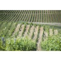 北マケドニア共和国 サンセット ヴァレー 赤ワイン　フルボディ　750ml 1本　東京オペラ