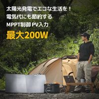 BougeRV ポータブル電源 FORT1000 SYZ-G1000 1台（直送品）