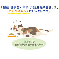 健康缶 介護用 高栄養食 スプーンで与えるまぐろペースト 国産 30g 48袋 アイシア キャットフード 猫用 パウチ