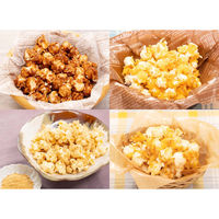 ライソン ポップコーンメーカー PN-02 KDPN-002W 1個