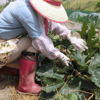 阪神素地 農業専用長靴(京の農林女子モデル) ネイビー M FU5004 1足（直送品）