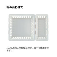 リッチェル トトノ 野菜・冷凍室用 伸縮ストッカー深型 レギュラー 236893 1個