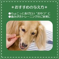 【アウトレット】【Goエシカル】訳あり ペットキッス ワンちゃんの歯みがきおやつ ササミスティック プレーン の切れ端 80g 1袋 犬用