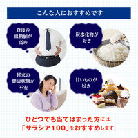 サラシア100 約40日分(120粒入り)【小林製薬の特定保健用食品】 1袋