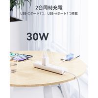 VOLTME 充電器 30W TypeC+15W TypeA ホワイト V2098 1点