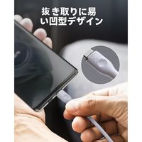 VOLTME シリコン 充電ケーブル USB-C&USB-C 100W 1m C2124 1点