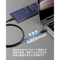 VOLTME ナイロン 充電ケーブル USB-C&USB-C 100W 1.8m C2170 1点
