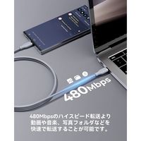 VOLTME ナイロン 充電ケーブル USB-C&USB-C 100W 1.8m C2173 1点