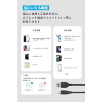 Anker USBーC & USBーA ケーブル (Flow) 0.9m A85G1011 1本