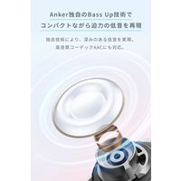 Anker Soundcore A30i A3958N21 1個