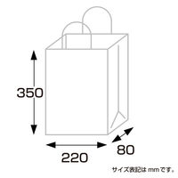 ササガワ 手提げ袋 マット黒 SーT 50-6421 1枚