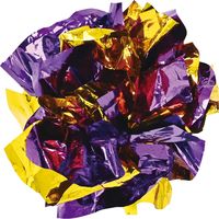 極遊び塾！カジカジバラエティーパック 5個入 1個 マルカン 猫用 おもちゃ