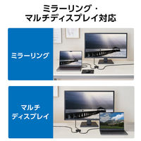 HDMI 切替器 2入力1出力/1入力2出力 双方向切替 セレクター 黒 DH-SW4KBD21BK/E エレコム 1個（直送品）