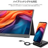 ジャパンネクスト  17.3インチ 4K モバイルディスプレイ(3840x2160/IPS) JN-MD-IPS1732UHDR（直送品）