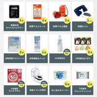 防災セット 2人用 ブラック×2 EVERSAFEリュック 寝袋 キャンプマット ハット型ヘルメット 防災士監修 警戒レベル4（直送品）