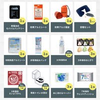 防災セット 1人用 ホワイト EVERSAFEリュック 寝袋 キャンプマット ハット型ヘルメット 防災士監修 警戒レベル4（直送品）