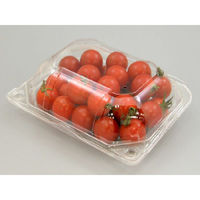 エフピコチューパ フルーツ容器 APクリアルーフM 10H CP003715 1袋(50個)（直送品）