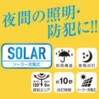 大進 人感 センサーライト ソーラーライト 屋外 防雨 LED DLS-WL008 1台（直送品）