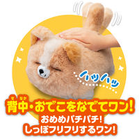 アガツマ ワンだきみは！？ おもちゃ 1個