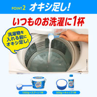 オキシクリーン 500g 粉末 酸素系漂白剤 無香料 1個 界面活性剤不使用 塩素不使用 消臭 洗濯 掃除
