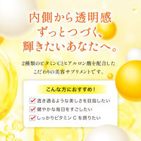 ロート製薬 THE LYPO（ザリポ） ビタミンCディープパウダー　1セット（1箱（30本入）×6）　粉末スティック　栄養機能食品