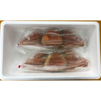 キングマカデミアンJAPAN ずわい蟹 K910020 1セット（直送品）