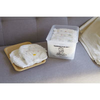 錦化成 スヌーピーコレクトボックスクリア 4460207 1個（直送品）