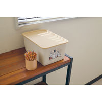 錦化成 ムーミン コレクトBOX(S)(BE-fam) 4460210 1個（直送品）