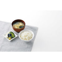 カンダ 0001043炊飯鍋5合炊き 4975192088258 1個（直送品）