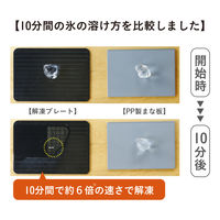 シービージャパン 解凍プレートS 4573306872610 1枚