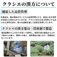 コッコアポG錠 60錠 クラシエ薬品 漢方製剤 大柴胡湯 肥満症 神経症 常習便秘 お試しサイズ【第2類医薬品】