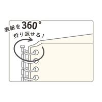 マルマン ミニサイズくるっとリングセット バインダー アイボリー FMR9SETA-14 1セット（1冊×3）