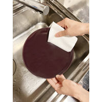 大日産業 洗えるキッチンタオル DAKT70 1セット(1個×2)