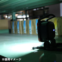 長輝LITETEC ワークライト DCWL-3300C 1個（直送品）