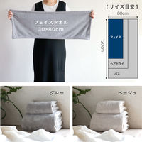 シービージャパン カラリデイプレミアム フェイスタオル グレー 吸水力5.9倍 マイクロファイバー 速乾 マシュマロ肌触り 1枚