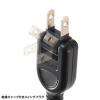 サンワサプライ 一括集中スイッチ付き電源延長コード TAP-EX2SWBK 1本